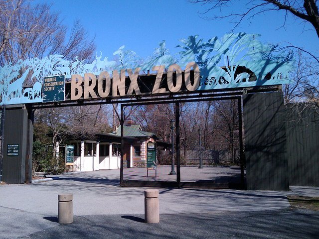 Head to the zoo! 5 Novel Places To Celebrate Your Next Birthday In NYC