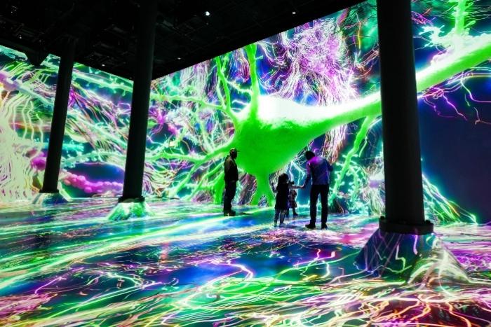 immersive-art-installations-are-better-than-virgin-experience-gifts