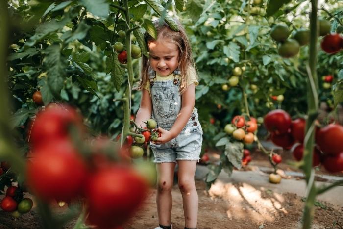 a-fun-experience-gift-for-kids-is-taking-them-to-a-u-pick-farm