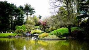 Brooklyn Botanic Garden is a great place for The Best Summer Date Ideas In NYC