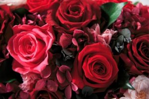 red roses for virtual team building to celebrate Kentucky derby