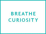 about Avital tours core values breathe curiosity